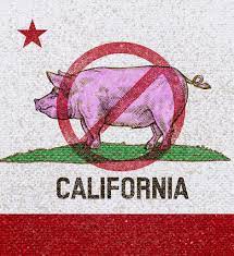 California pork ban