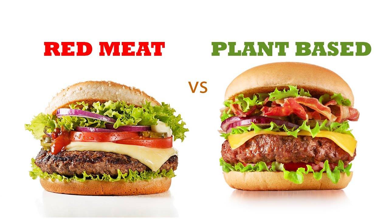 Plant based vs Real meat