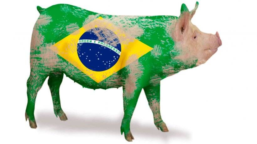 Pork from Brazil