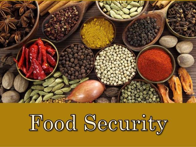 Food security report