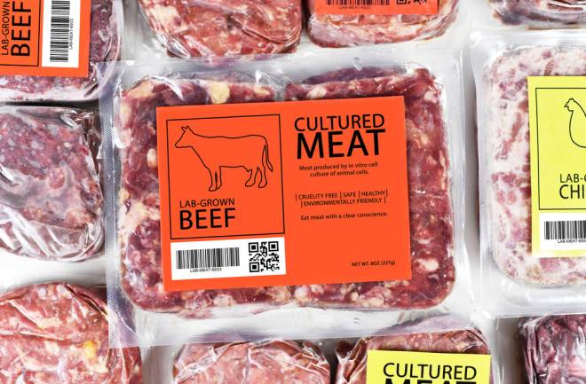 The 10 countries leading the way for cultivated meat