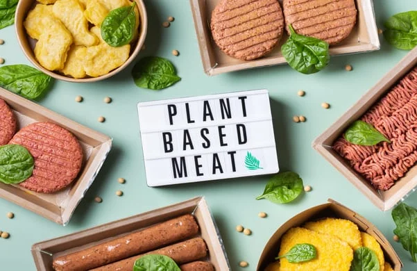 Top 10 plant based meat companies