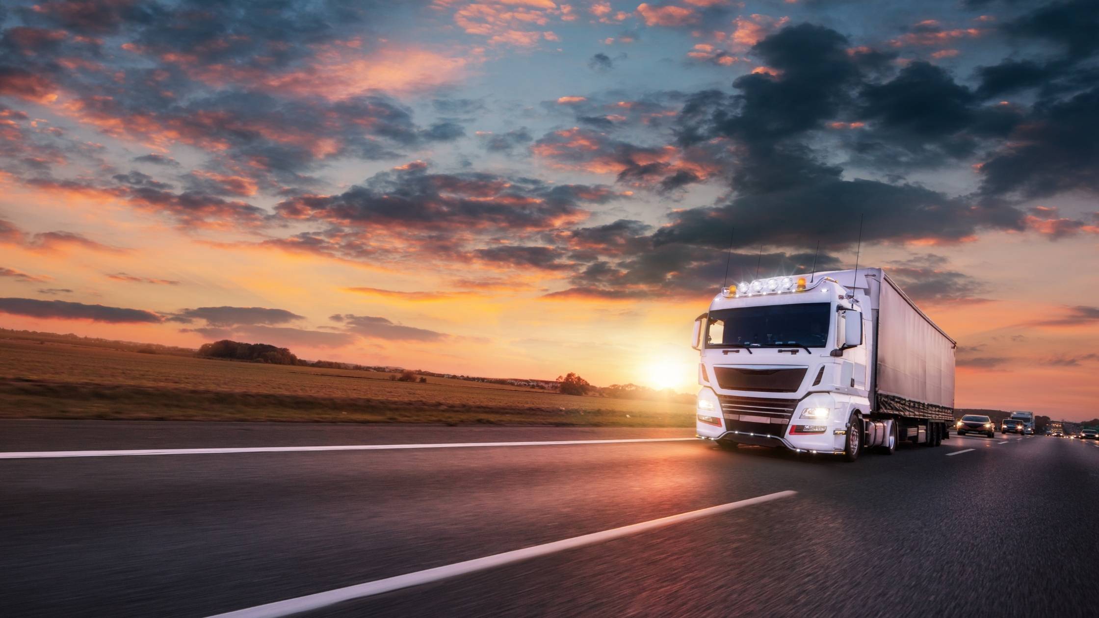 The Top 5 Refrigerated Transport Companies in The World