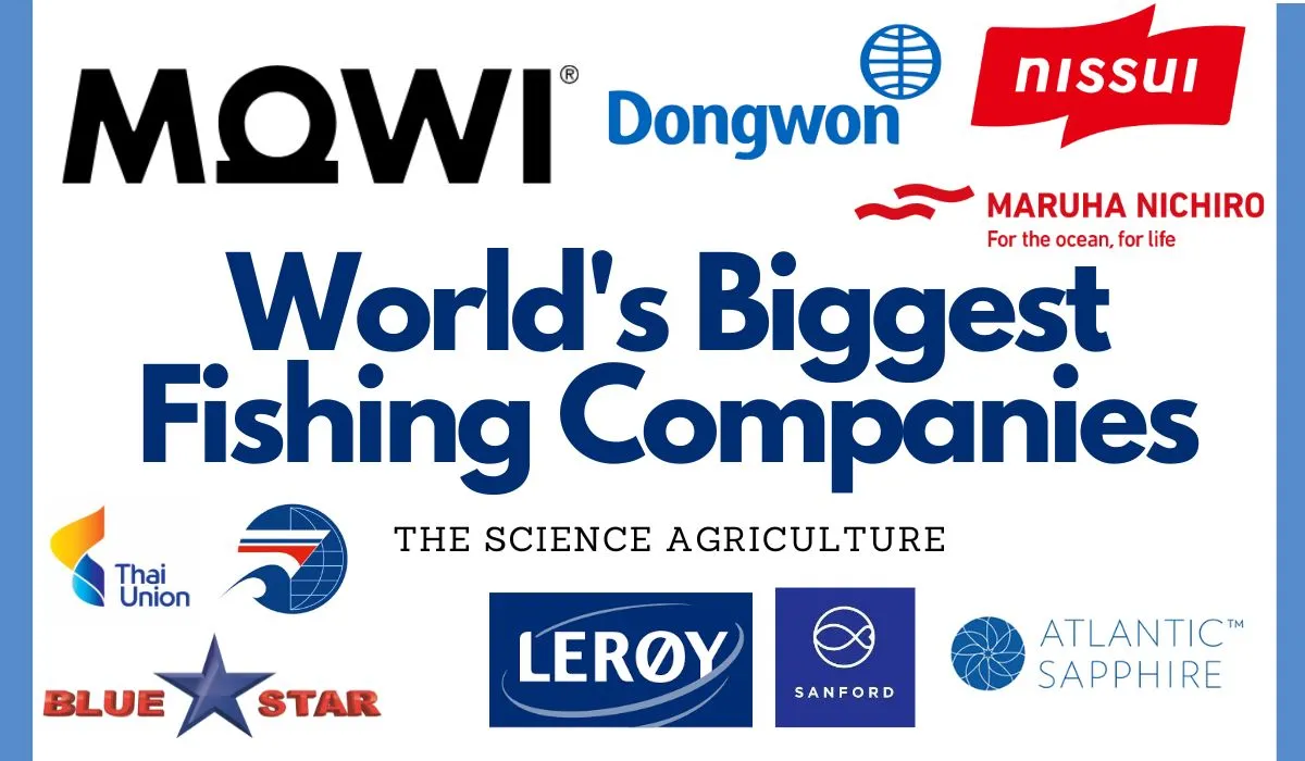 World’s largest fish processing companies