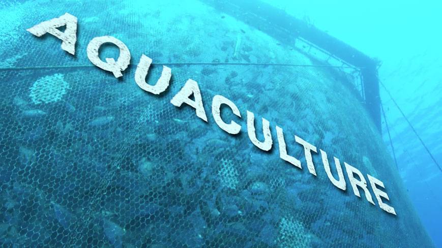 Top 10 Aquaculture Companies in the World