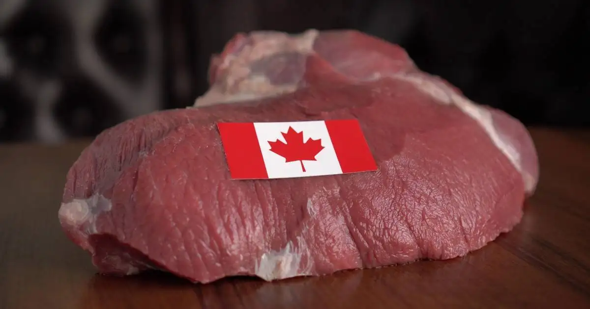 A piece of steak with the Canada Flag pasted on it