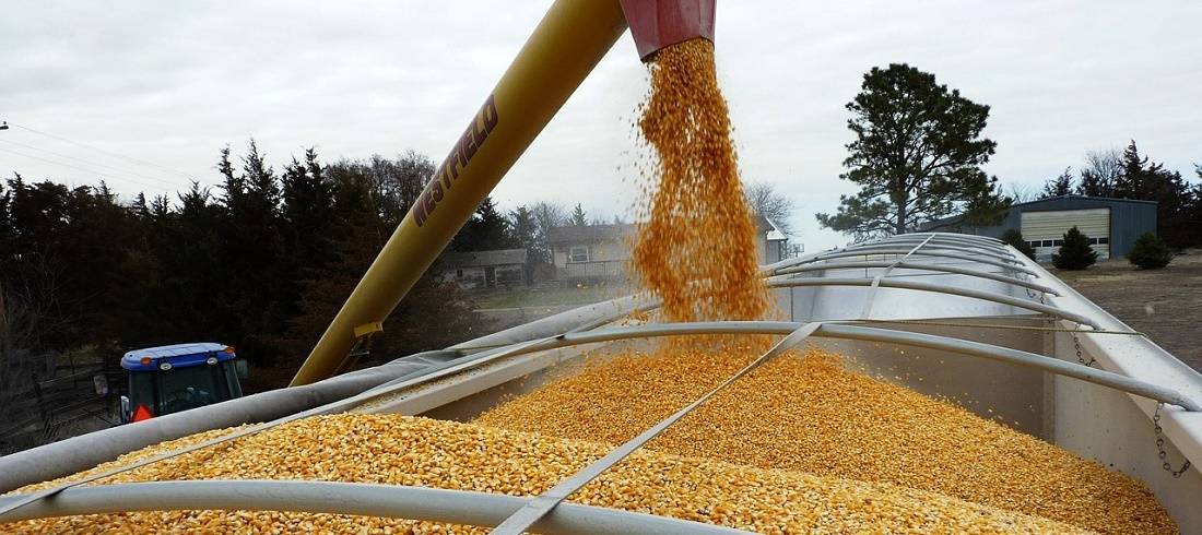China's Shift to US Soy Amid Brazil's Weather Woes
