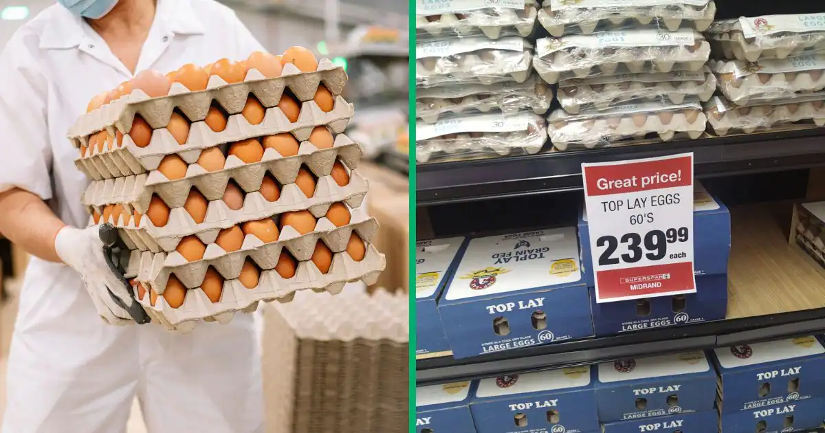 Egg prices sky-rocket in South Africa