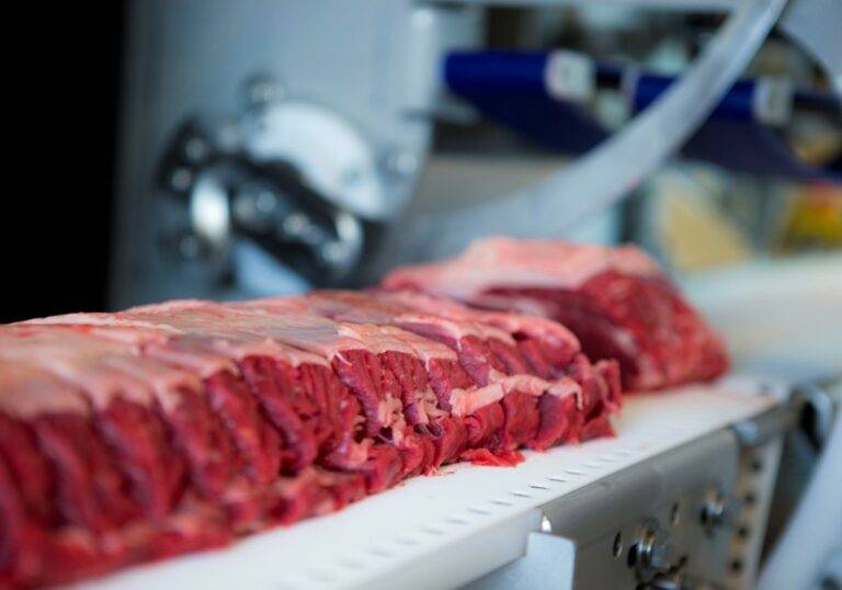 Top 10 Meat Processing Equipment Titans Revealed Top 10 Meat Processing Equipment Titans Revealed