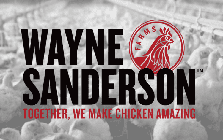 Wayne-Sanderson_Farms_Rebranding_Feature