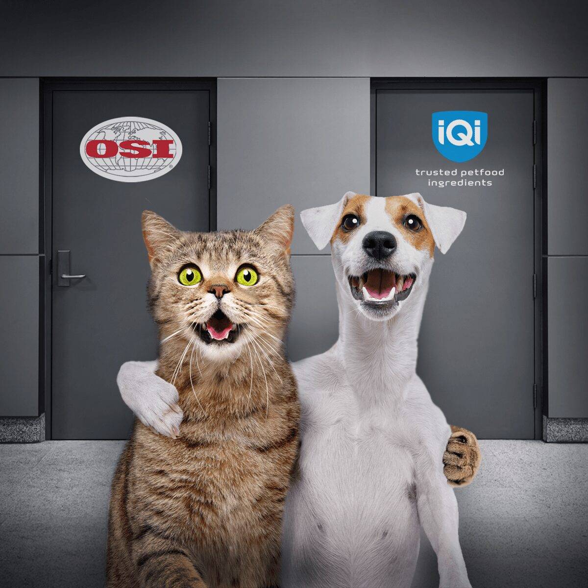 Cat and dog together in front of an OSI & IQI branded door.