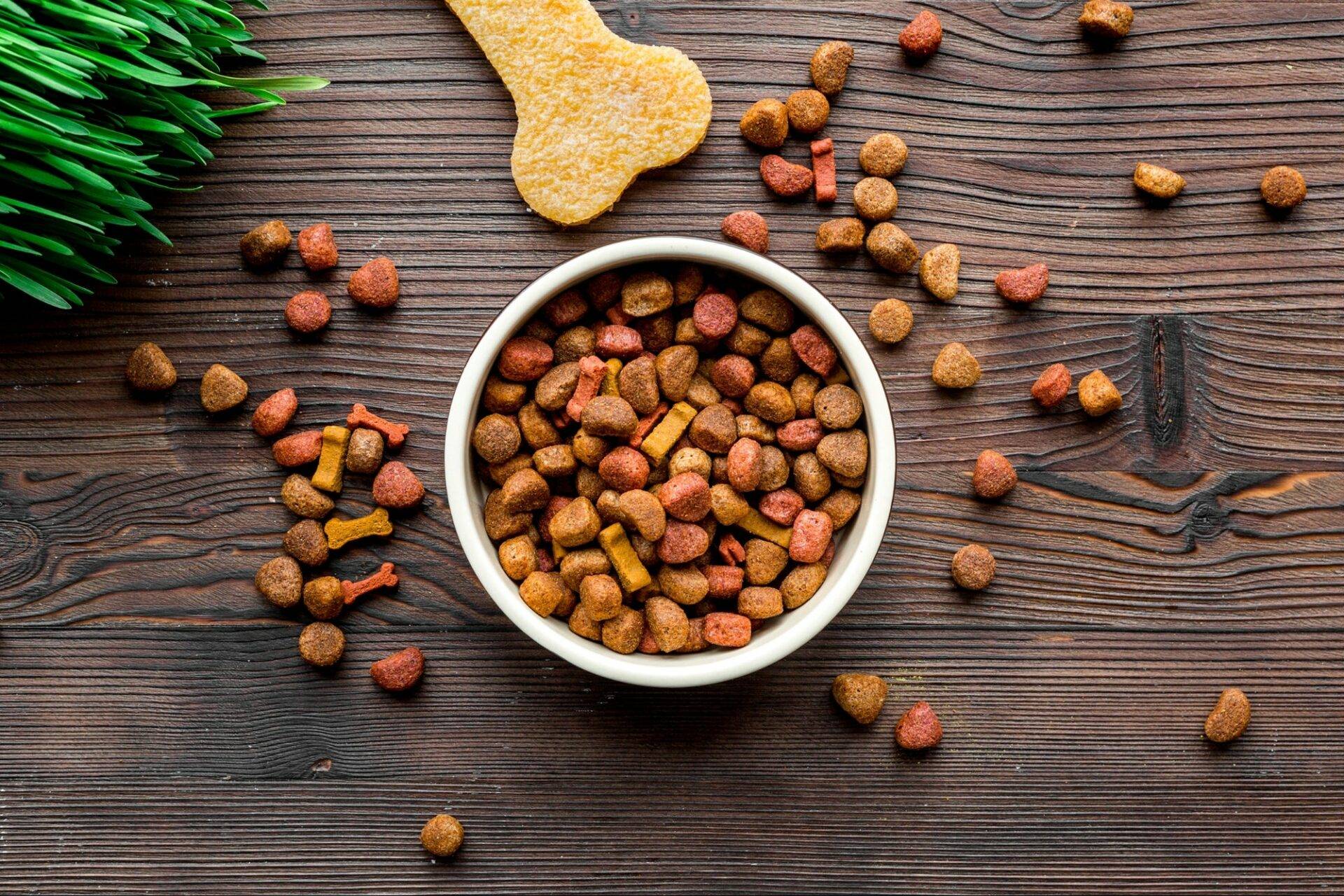 The Largest Pet Food Manufacturers Dominating the Market in 2023