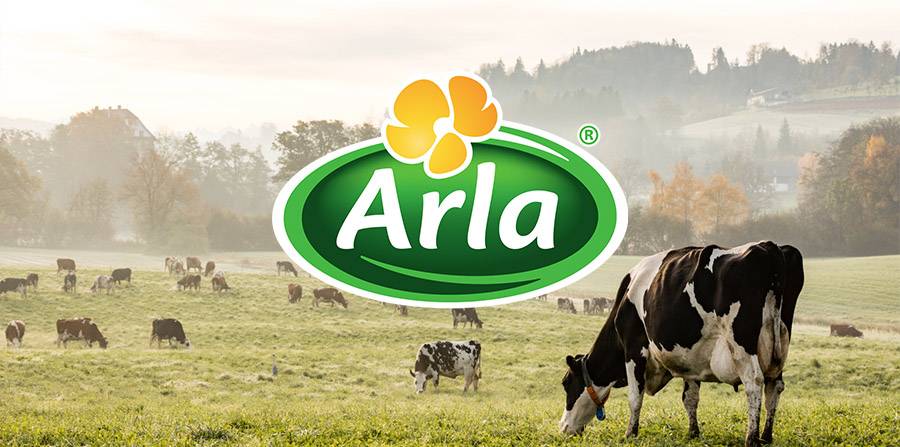 Arla Foods Expands Export Plans for Mozzarella