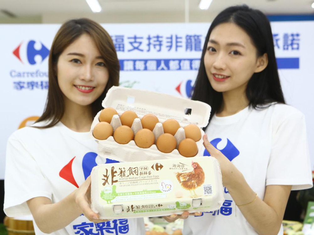 Egg Production in Asia Report