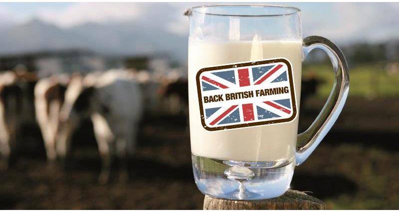 Top 10 British Dairy Companies