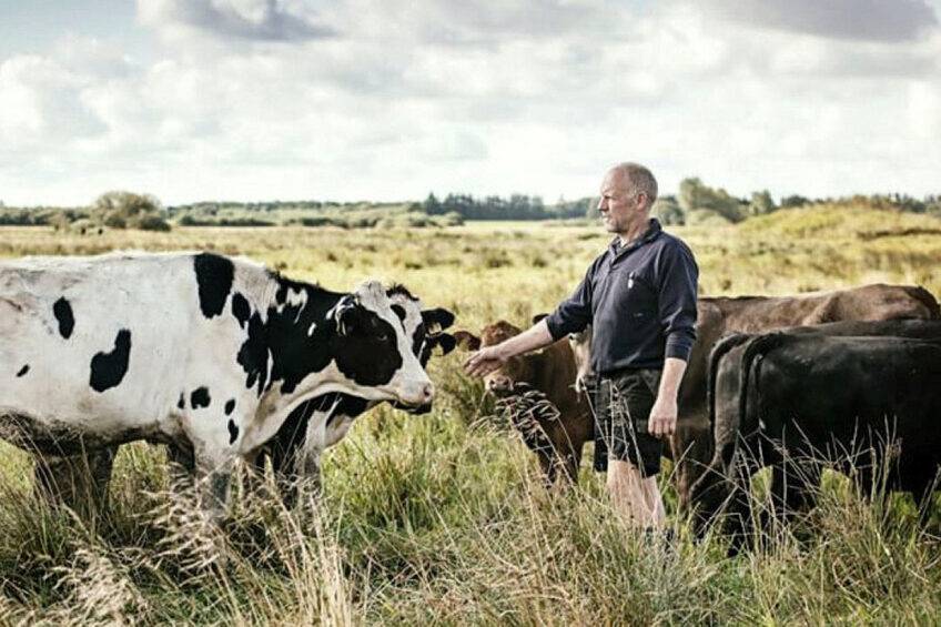 Top 10 Danish Dairy Companies