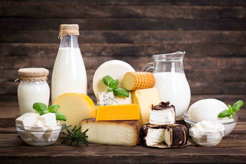 Top 10 Largest Dairy Companies in Europe