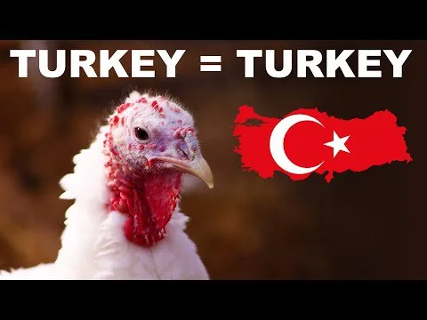 Top 10 Poultry Producers in Turkey