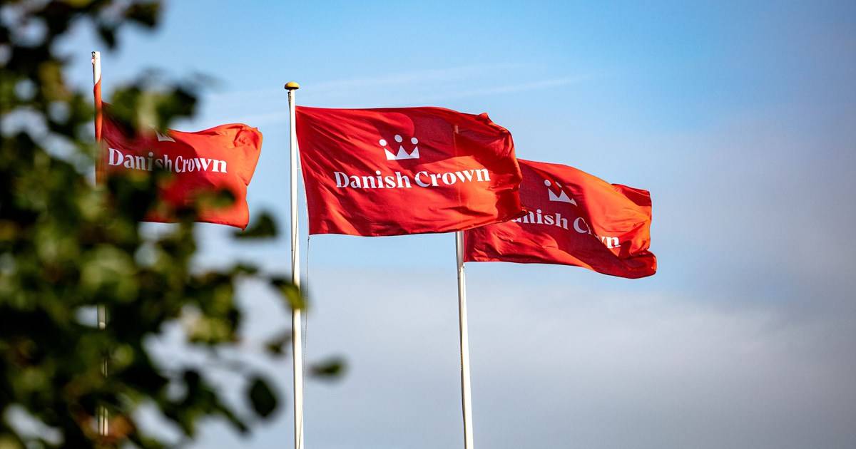 Danish Crown Cuts 1200 Jobs