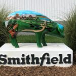 Smithfield Foods pioneering AI to revolutionize hog breeding