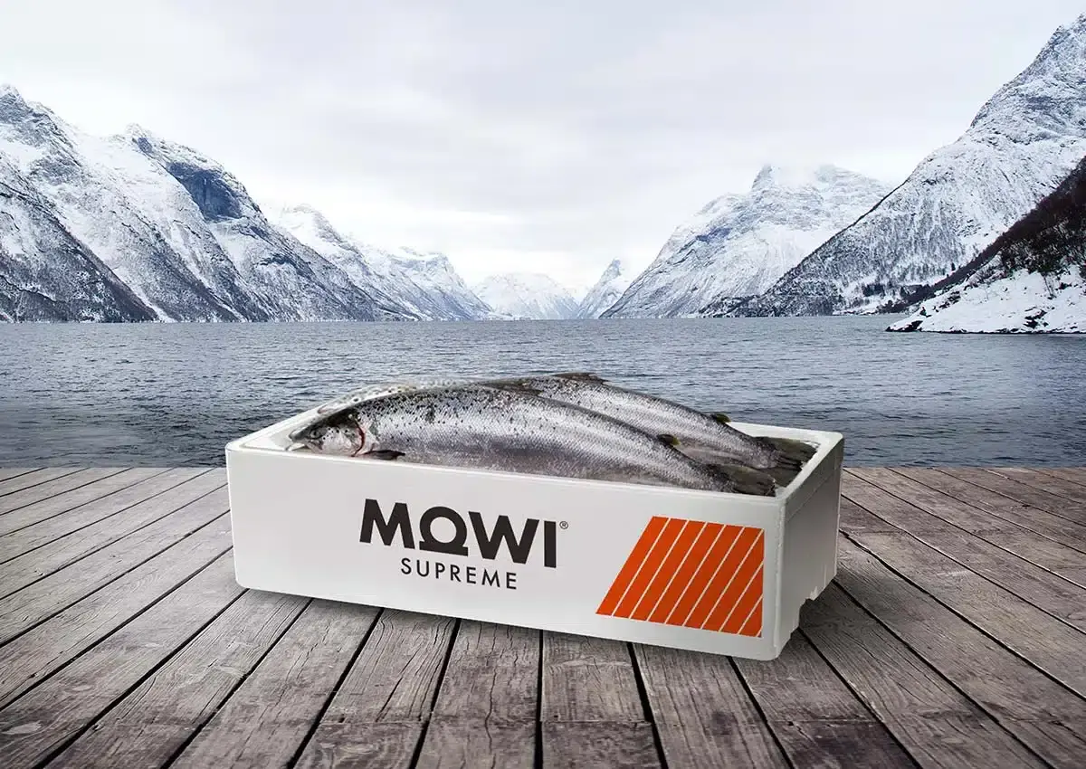 Mowi Norway Faces “Perfect Storm” of Challenges in Q1 2024