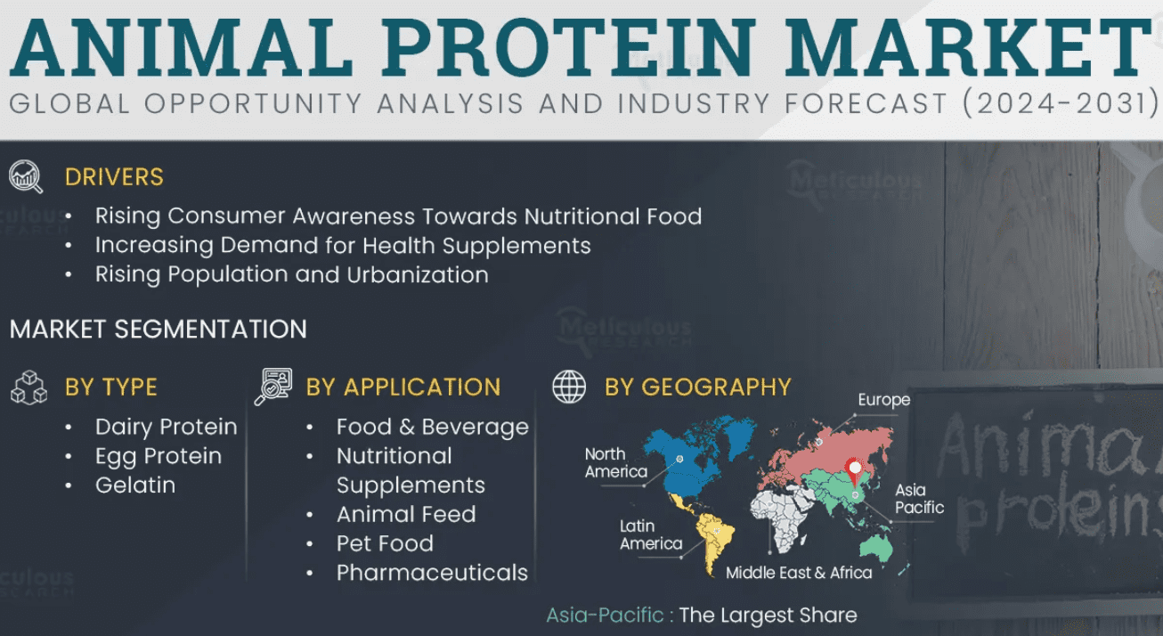 Comprehensive Report on the Animal Protein Industry in 2024 and Beyond