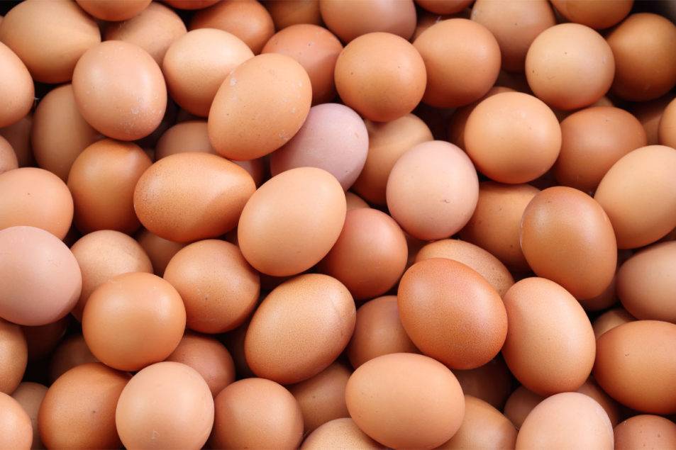 Kraft, Kellogg win ruling in egg price case