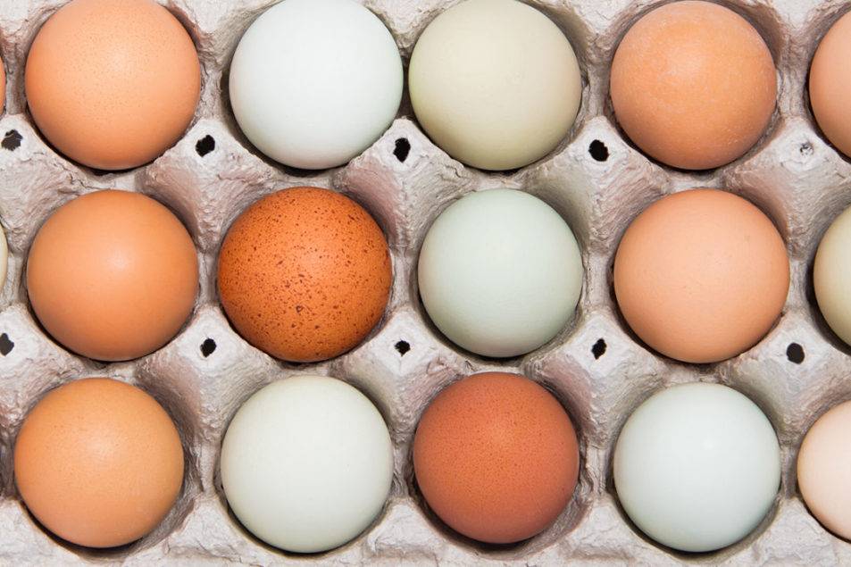 CVS to transition to cage-free eggs by year’s end