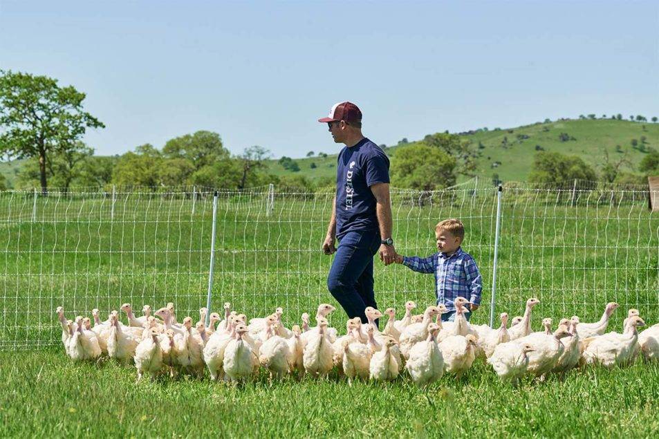 Diestel Family Ranch earns regenerative certification