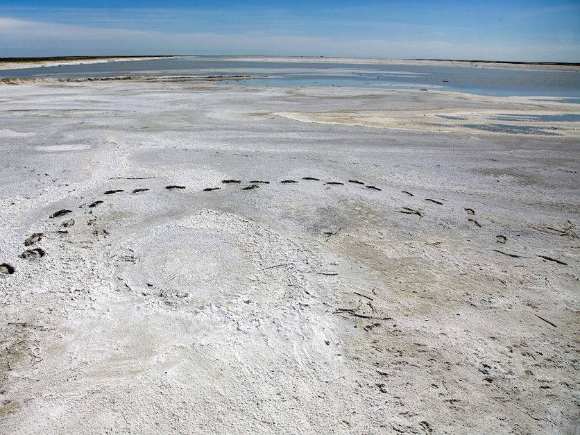 California needs another Central Valley Project—just to manage salinity