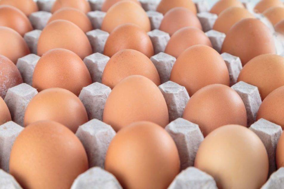 HPAI spread triggers price increases for eggs