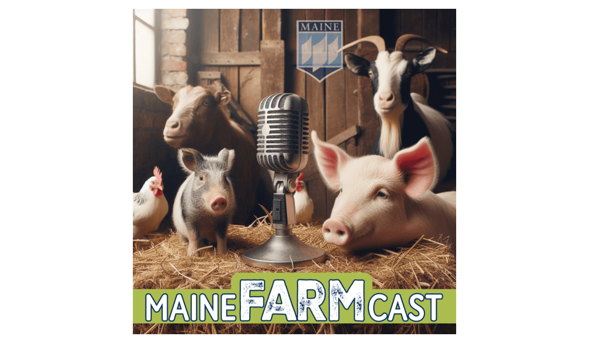 Podcast: “Shades of Green: Cows, Agrivoltaics, and Climate Resilience with Dr. Brad Heins”