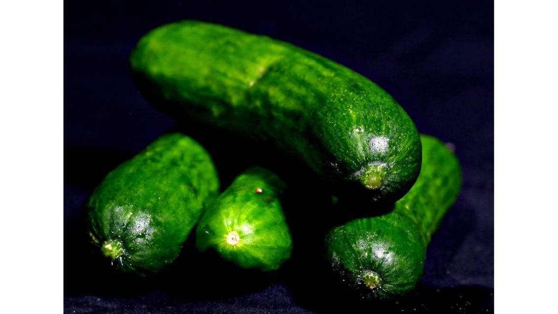 FDA Investigating Salmonella Outbreak Involving Cucumbers