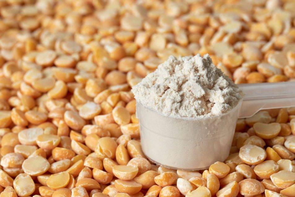 ADM, Marel to build alternative protein innovation center