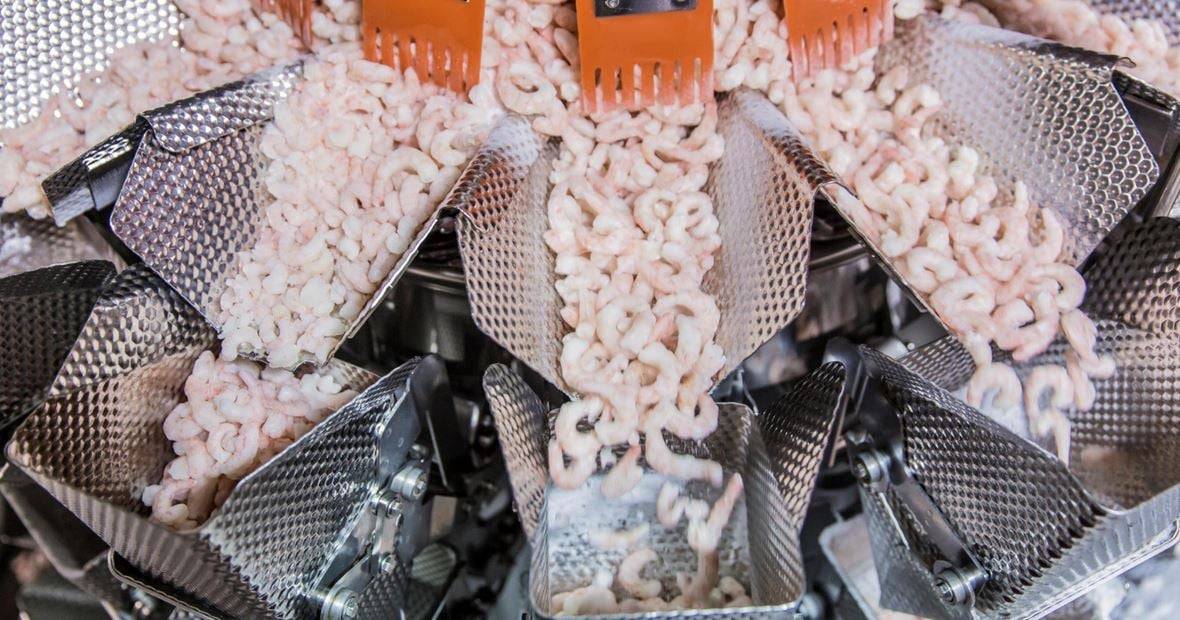 Polar Seafood to buy stake in Icelandic shrimp firm