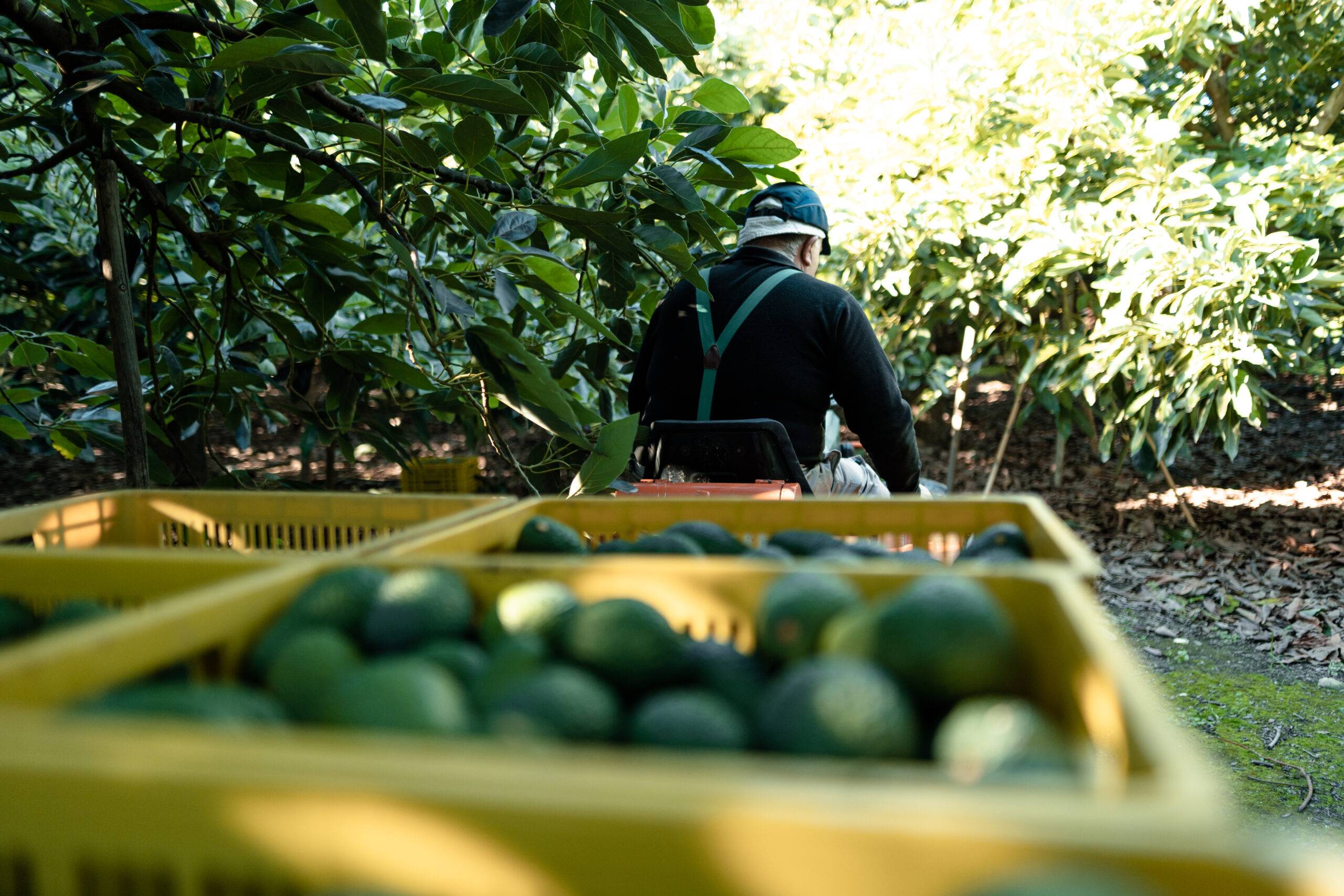 President Biden proclaims National Farm Safety and Health Week