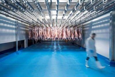 Beef processing costs lift 25pc in eight years, exposing Australia’s lack of competitiveness  