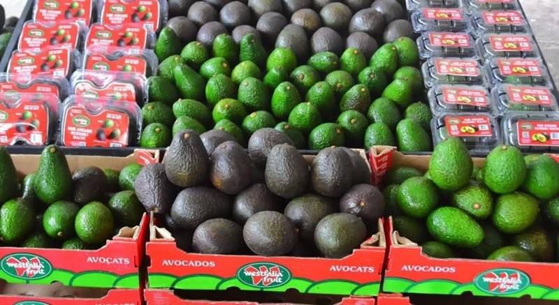 Westfalia Fruit expands its reach into three key Asian Markets