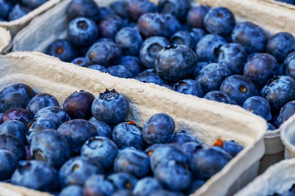 Peruvian blueberry exports rebound in week 35