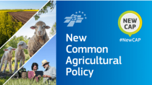 Commission authorises higher advance CAP payments to EU farmers – Swine news