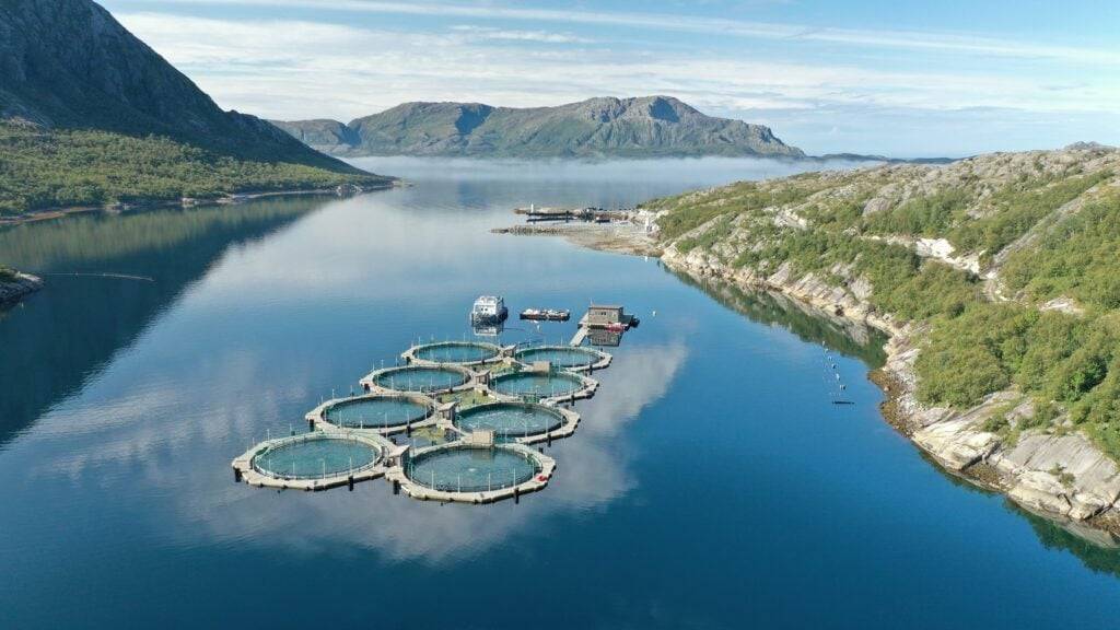 Norway’s Akvafuture kicks off work on first closed-containment salmon farm in BC