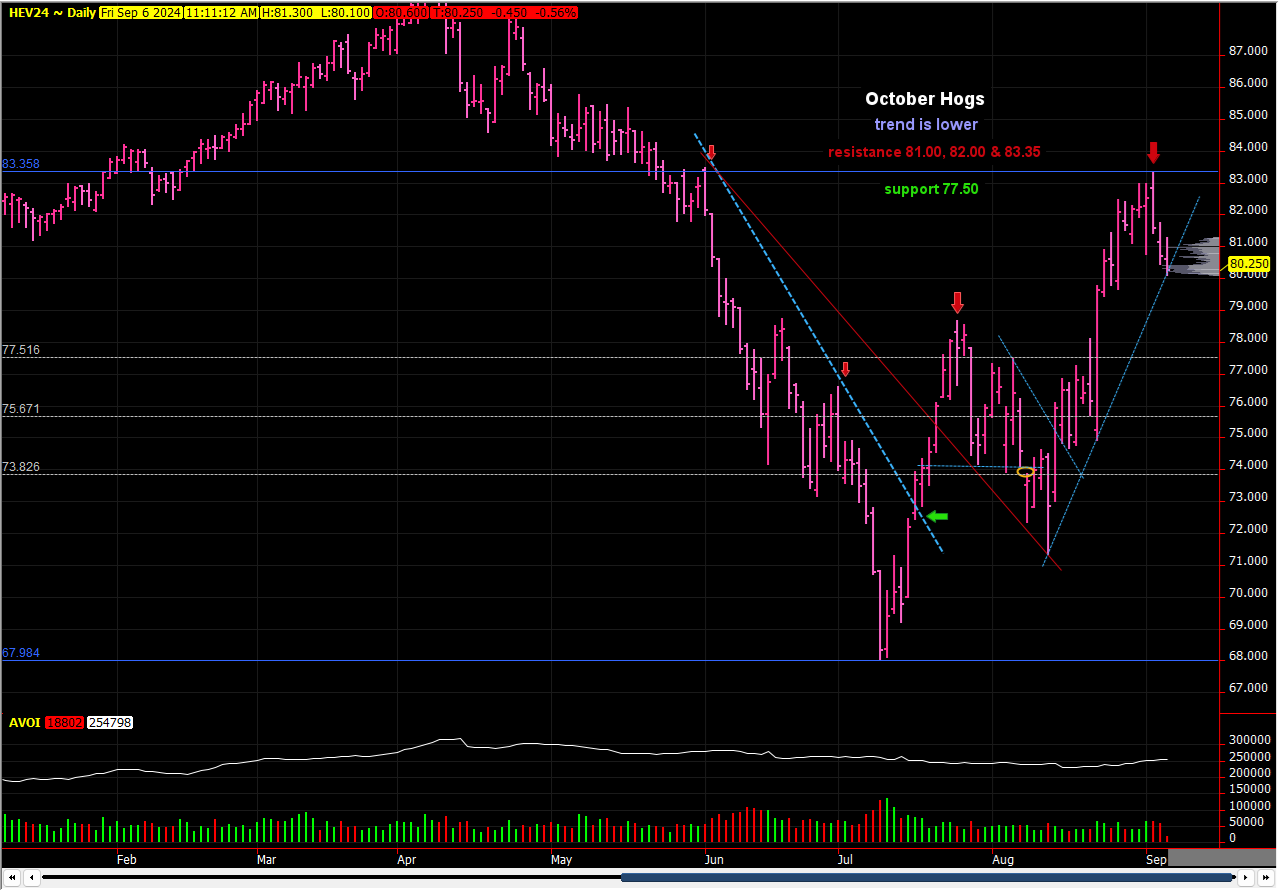 Hogs reversed on Wednesday, look negative – Swineweb.com