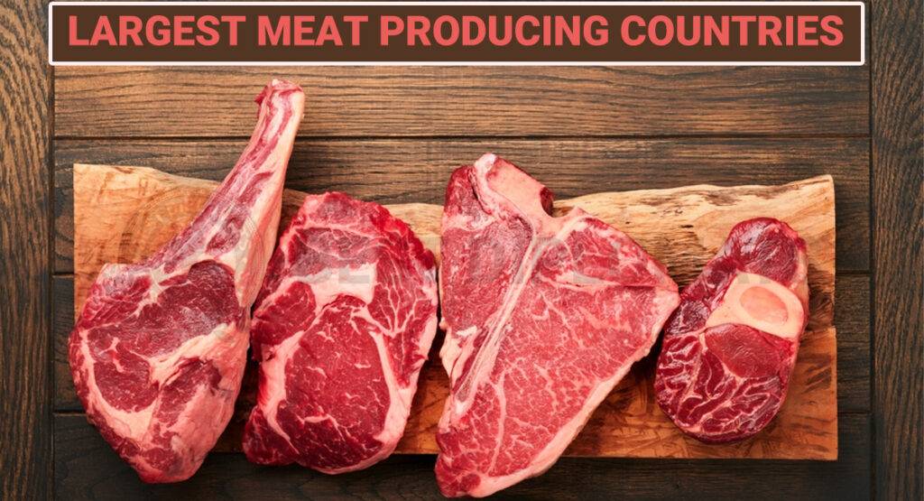 Red meat on a board with the headline ,"Largest Meat Producing Countries"