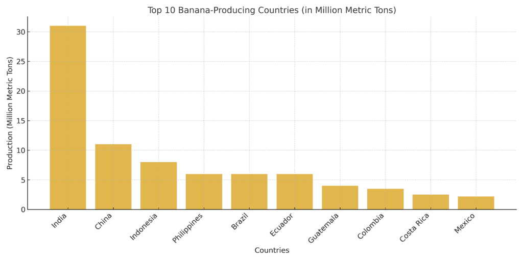 A bar chart showing the banana production of the top 10 producing countries, led by India with 31 million metric tons.