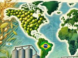 A vibrant illustration highlighting the world's largest soybean producers on a global map, including the U.S., Brazil, Argentina, China, and India, with soybeans and farmland integrated into the design.