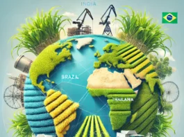 A realistic illustration of the world's largest sugarcane producers, highlighting Brazil, India, China, Thailand, and Pakistan on a global map with visuals of sugarcane fields and harvesting machinery.