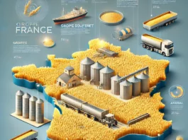 A realistic infographic showcasing France’s largest wheat-producing companies, featuring a map of France with key agricultural regions, golden wheat fields, silos, and modern farming equipment.