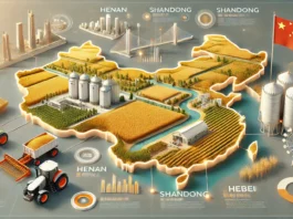 A realistic infographic featuring China’s largest wheat-producing regions, including Henan, Shandong, and Hebei, with visuals of golden wheat fields, farming equipment, and a map highlighting key provinces.