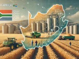 A depiction of South Africa’s wheat production featuring golden fields, modern harvesting equipment, storage silos, and a map overlay highlighting major regions.