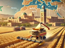 A depiction of Morocco’s wheat industry with golden fields, modern harvesting equipment, traditional architecture, and a map overlay highlighting major areas.